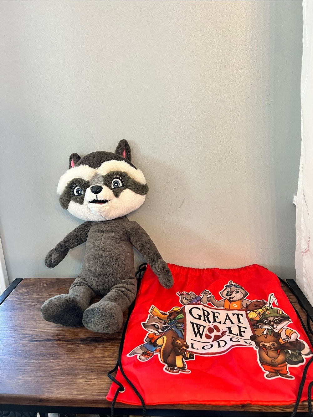 Great Wolf Lodge Rachel Raccoon 16” Plush Stuffed Animal Toy With Bag 2011
